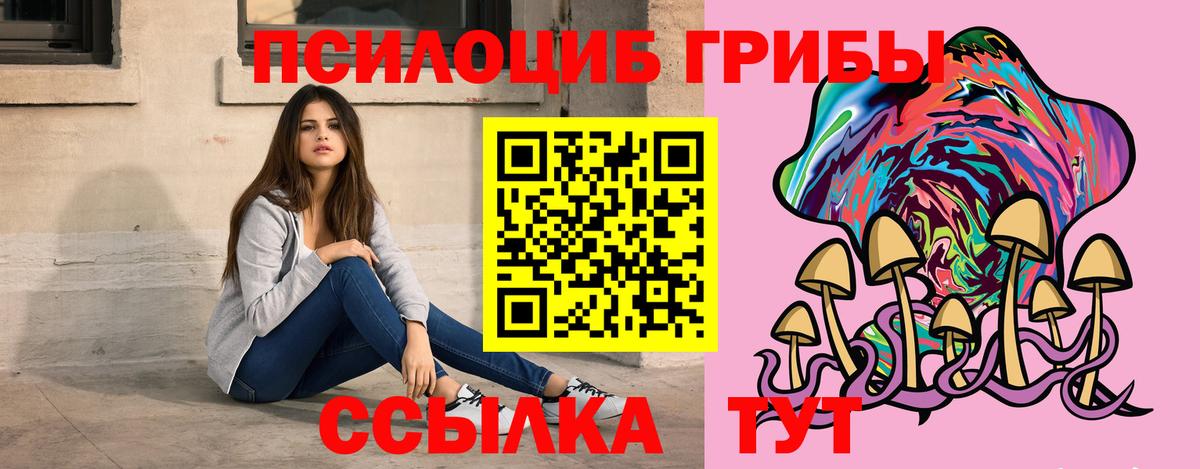 Псилоцибиновые грибы Psilocybe Троицк
